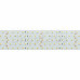 Лента RT 2-2500 24V White 5x2 (2835, 875 LED, LUX), SL019082